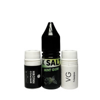 10мл X SALT Mint Gym (м`ятна гумка)