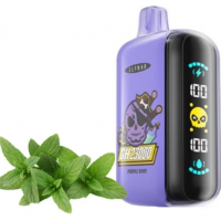 ELFBAR 23 000 Фіолетова Мята